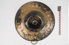 Foto von Bronzebreitrandfußschale (NHMW-PRAE-025275)